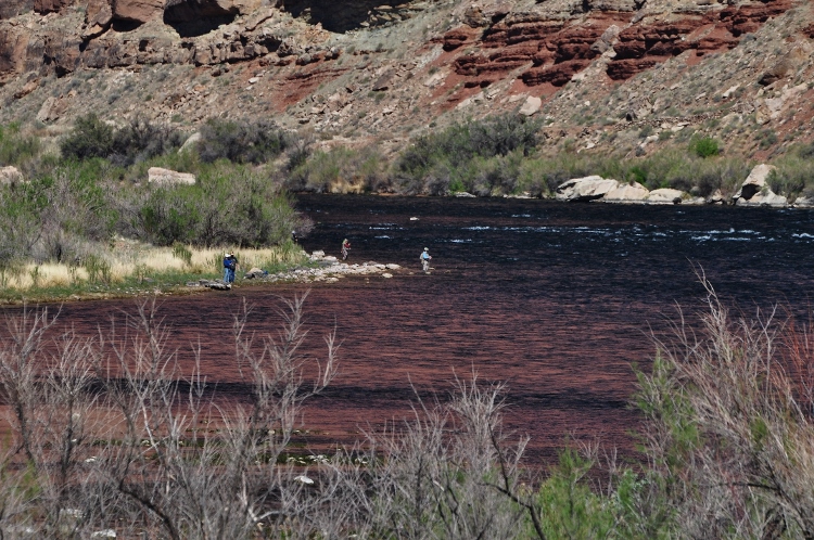 the Colorado River at Lees Ferry